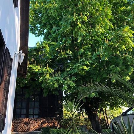 Echo Apartman Tihany Exteriér fotografie