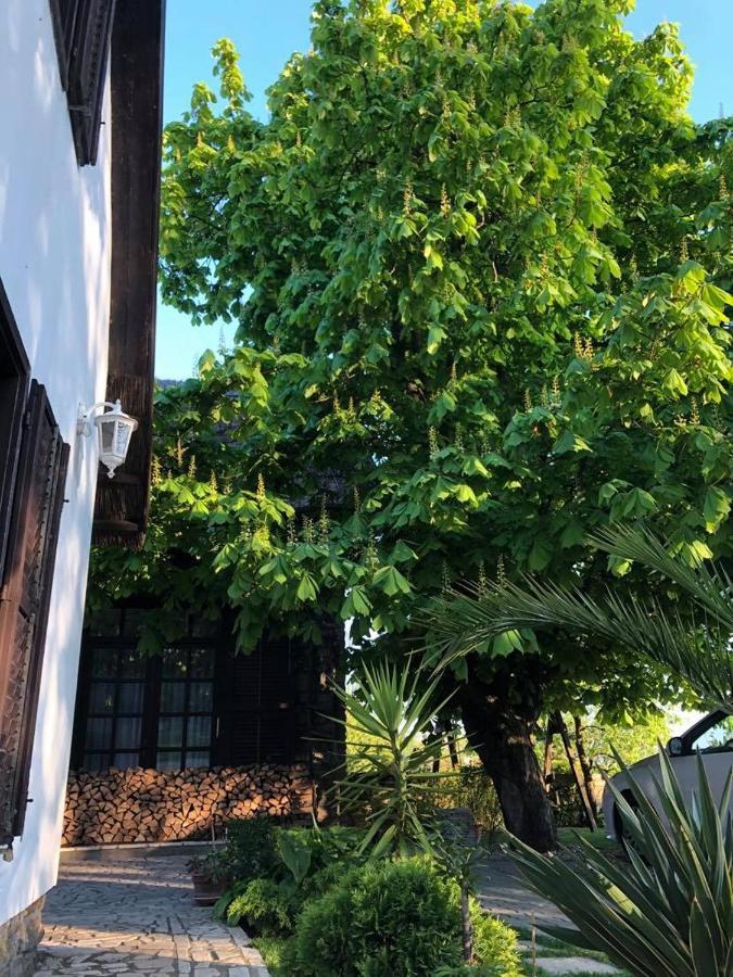 Echo Apartman Tihany Exteriér fotografie
